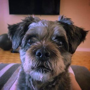 Meet your Posher, A.j.